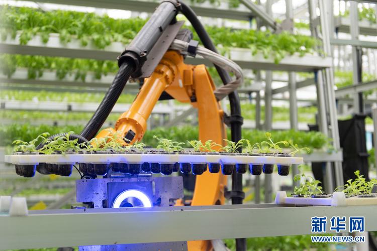 魚菜共生AI工廠 當區塊鏈賦能溫室機器人上下架作業